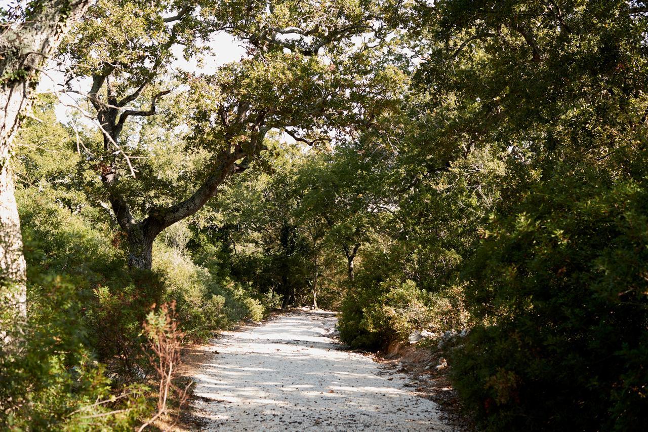 Masseria Grieco Ostuni Esterno foto