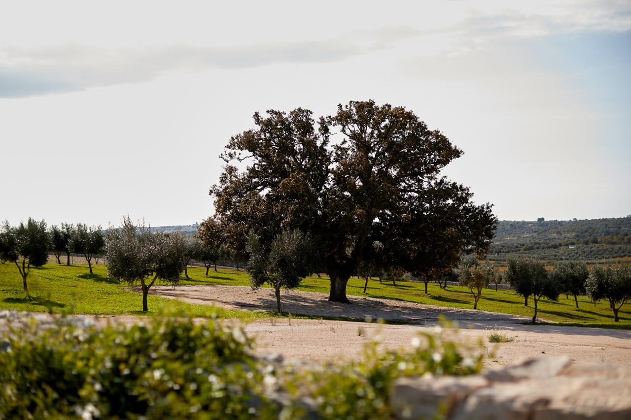 Masseria Grieco Ostuni Esterno foto
